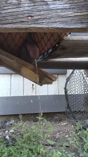 Must-see moment from "my pee bench"