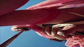 anuket - update #4 - me - nov 12, 2023