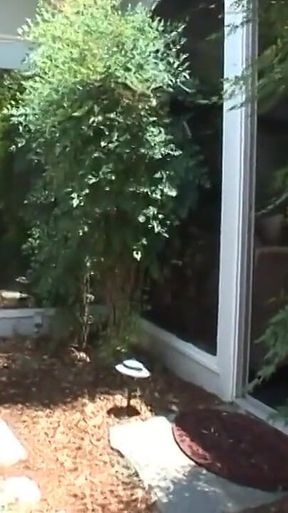 Lexington Steele Goes Balls Deep on Missy Monroe
