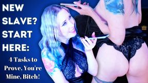 New Slave? Start Here: 4 Tasks to Prove, You're Mine, Bitch! 😘