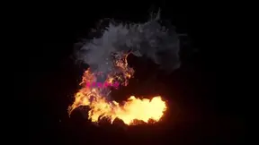 I Like Big Dicks & I Cannot Lie