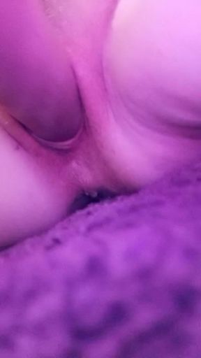 Wet Lil Kitty