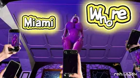 Miami whore gets fucked by huge cock
