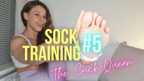 Sock Training L5, The Cuckquean And FINALE