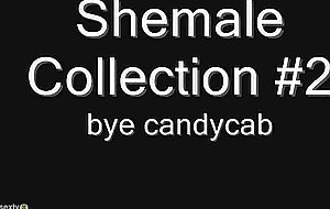 Outer cumshot after mutual hardcore with a titty ts