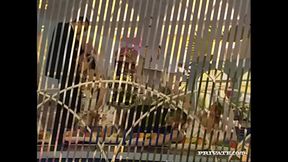 Maria Bellucci and Michelle Wild Come Back from a Wedding and Get DPd