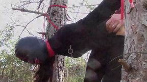 Preview - Half an hour compilation of a milf fucked doggy style with repeated orgasms