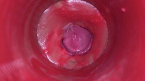 Camera Inside Pussy: Powerfull Cum in Pussy! Best Internal Asmr