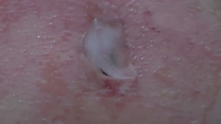 my luscious navel is filled with ice water and burns with an ice game belly Fantasy of Paula nipples