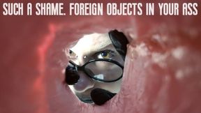 Such a shame! Foreign objects in your ass