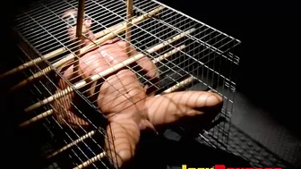Master Callahan stretches his sub's balls with a 20 lb chain weight