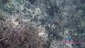 Virtual vacation in Tioman Island with Elena Koshka part 4