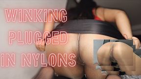 Asshole winking in nylons