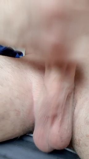 Grosse Palme.mp4