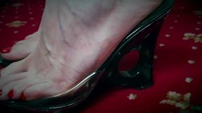 Tranced into my financial slave