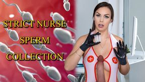 STRICT NURSE SEED COLLECTION - PREVIEW - ImMeganLive