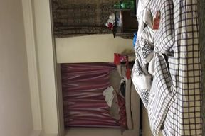 Wang Baolun and Xiaowei----01