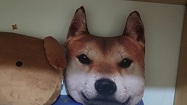 A linda trans meteu a pica em mim bem fundo, terminei batendo uma punheta e recebendo porra na cara