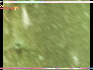 Peeping movie scenes from the forest