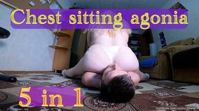 Endless Facesit Control – 5 Clips, 1 Hour of Chest Domination