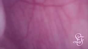 Fucked in my Pussy   Camera in my Bladder = Crazy Bulge!