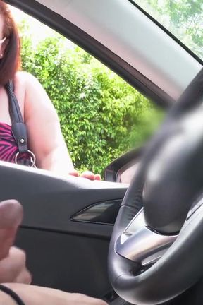 NICHE PARADE - Rolled up on random Latina on the street, flashing cock