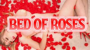 Bed Of Roses
