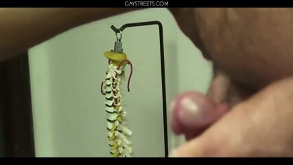 Brice Visits With Dr Mugs  Japanese