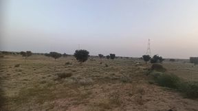 My Farm in reality<br />
<br />
Please What Happened seen <br />
My video playback my Sweet Hearshdhjnsn