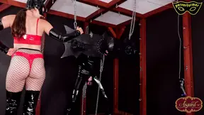 Slave training under German dominatrix