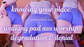 🍑 Knowing Your Place: Walking Pad Ass Worship Degradation & Denial 🍑