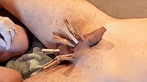 Pegs, sounding, milking