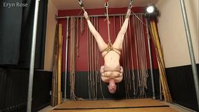 Upside Down Toy - Eryn Rose