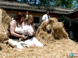 Christy Marks - Breasty Riding Academy