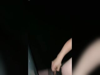 Night. Park. Car. Screwed a trans floozy.