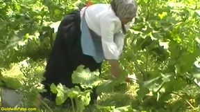 Chubby wife outdoor fucking by her toyboy