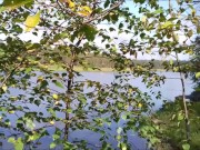 A village guy jerks off a big cock on the river bank, and fishermen swim by on a boat