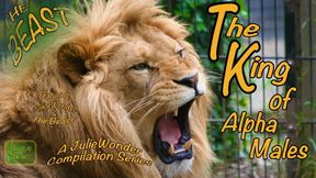The King of Alpha Males