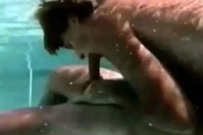 In Pool Where this twink Commenced