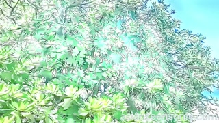 Thinyone in wonderland - catching suggardaddy while snorkeling and using him in different ways