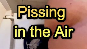 Pissing on airplane bathroom