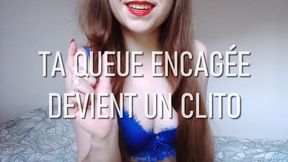 Ta queue encagée devient un clito (SPH)