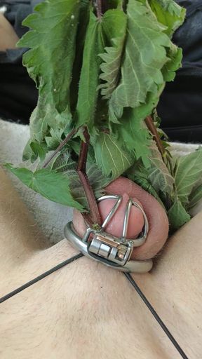 Punishment of the slave