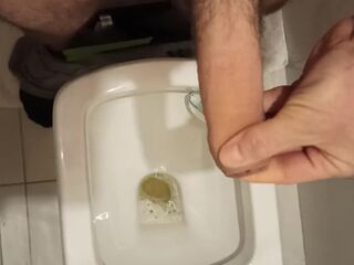 I pee in the WC, lift my dick by masturbation, prepare it for entering your anal.