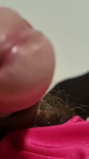 Big Cock SHEMALE Masturbation In Panties   Clip 2