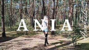 walks in the woods