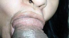 In the forest on a wet night, part 2