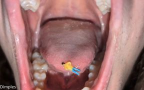 Giantess Femboy Finds Tiny Human on Their Desk - Giantess & Burping Video