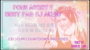 AUDIO ONLY - Porn assist 1 sissy