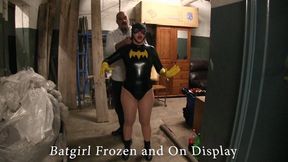 Batgirl Frozen solid and on display 08